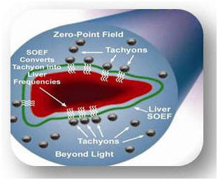 cell structure